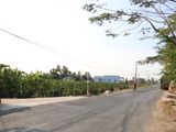 Bán Nhanh Giá Rẻ 3628M2 Đất Thổ Cư Long An, Trồng Thanh Long, Làm Nhà Xưởng, Biệt Thự Vườn