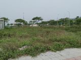 Bán Đất Khu B Nguyễn Sinh Sắc Giá Rẻ Cho Nhà Đầu Tư.