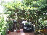 Chính Chủ Cần Bán Biệt Thự Sân Vườn Tại Mặt Tiền Đường Số 15, P11, Quận Gò Vấp . >> Diện Tích 287M2