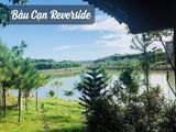 Bán Đất Ngay Ngã Tư Bàu Cạn. Giá 300 Triệu/100M2