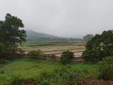 Bán Đất Thổ Cư Yên Bài, Ba Vì, Hà Nội, 2450M2, Mt 54M, Đường 2 Ô Tô Con Tránh Nhau, View Núi Ba Vì