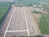 Đất Nền Giá Rẻ 550 Triệu Diện Tích 1000M2