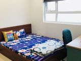 Chủ Nhà Gửi Cho Thuê Nhanh Căn Hộ 3 Ngủ , Tòa 60 Hoàng Quốc Việt.
