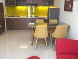 Cho Thuê Căn Hộ Chung Cư Sunrise Riverside 17Tr 2Pn Full Nội Thất