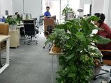 Cho Thuê Văn Phòng 65M2 Tại Cầu Giấy