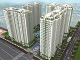 Shophouse Chung Cư Hoàng Anh Gia Lai 3 - New Saigon 200M2 Cần Bán Với Giá 4,25 Tỷ