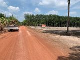 Đất Đầu Tư Chơn Thành Bình Phước 1000M2 Chỉ 450 Triệu