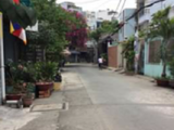 Bán Nhà Cũ, Hẻm Xe Hơi, Tại Đường Nguyễn Sỹ Sách, Phường 15, Quận Tân Bình, Tp. Hcm,