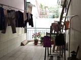 (Vi Tùng) Mặt Phố Hoàng Hoa Thám Kinh Doanh Sầm Uất Vỉa Hè To 8.3 Tỷ Ba Đình