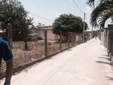 Đất Nền Giá Rẻ Chợ Cẩm An,Gò Dầu