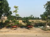 Nhà 2,5 Tầng Phạm Văn Đồng, Giá Rẻ Nhất Thị Trường