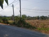Bán Đất Cần Giuộc Long An 1000M2 ,1,5 Tỷ Lên Thổ Được Và Phân Lô Được | Cách Nguyễn Văn Linh 15Km
