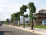 Công Ty Bđs Phúc Vinh Group Phát Lộc Tháng 4 Đất Hóc Môn Chỉ Từ 430 Triệu Shr 100%, Ck 5 Chỉ Vàng
