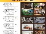 Nhà Phố Khu Đô Thị Kiểu Mẫu Đầu Tư Sinh Lời Cao