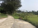 Chính Chủ Cần Bán 8852.1M2 Đất, Vị Trí Cực Đẹp Tại Đảo Cô Tô Lớn