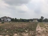 Đất Nền Lợi Nhuận Cao Bàu Xéo Trảng Bom, Mặt Tiền Ql1A, Xã Đồi 61,Sổ Hồng Riêng, Giá Chỉ 906Tr/nền