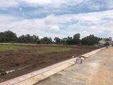 Đất Nền Giá Rẻ Sổ Riêng ( Đã Có Sổ) Sông Trầu, Trảng Bom, Đồng Nai
