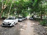 Đất Nền Củ Chi Giá Đẹp Gần Bệnh Viện Huyện, Ủy Ban Xã, Trường Cấp I, Ii, Iii Hệ Sinh Thái Đầy Đủ