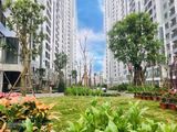 Cần Tiền Bán Cắt Lỗ Căn Hộ 2Pn, 81M2, Giá 2.485 Tỷ, Full Nội Thất Cao Cấp. Lh Chủ Nhà: 0834206996