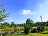Chính Chủ Bán Gấp Căn 72M2 Mặt Công Viên Ô Khe Thoáng Duy Nhất Liền Kề Nam 32 Giá Tốt