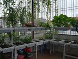 Cực Rẻ! Bán Nhà Hoàng Mai, 75M X 4Tầng, Ô Tô, Nhà Đẹp Ở Ngay, 3.8 Tỷ Tl. Lh: 0379412066
