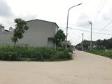 Chính Chủ Bán Ô Góc 2 Mặt Tiền Dự Án Ông Nhan Bãi Muối – Sổ Đỏ Giá Đầu Tư