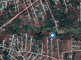 Cần Ra Đi Gấp Lô Đất Hẻm Đường 19/5