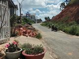 Cần Bán Nhà Phố Đường Ngô Quyền Phường 2 Thành Phố Đà Lạt
