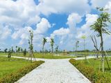 Dự Án Sapphia Villas Nằm Trước Siêu Dự Án Vingroup, Sổ Hồng Từng Nền, Sang Tên Ngay
