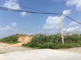 Chính Chủ Gửi Bán Ô Góc Thành Thắng – Vị Trí Đẹp – Giá Đầu Tư