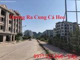 Bán Lô A12* - 25 Tái định cư Hồng Hải. Diện tích: 60M2, mặt tiền: 6M. Hướng: tây nam - Quay Đường 7.5M!