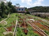Bán Đất Đường Vạn Thành, Phường 5, Đà Lạt - 1137,71M2 - Đ3836