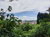 Bán Đất Đường Triệu Việt Vương, Phường 4, Đà Lạt - 1580,08M2 - Đ3843
