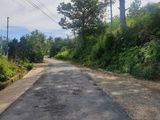 Bán Đất Đường Đống Đa, Phường 3, Đà Lạt - 369,5M2 - Đ3845