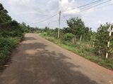 Bán Đất Tặng Ngôi Nhà Nhỏ Ở Sông Thao, Diện tích 400M2, Giá 410 Triệu