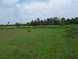 Bán Đất Mặt Tiền Tuyến Tránh , 29403 M2 - Hành Lang Ven Biển Phía Nam - Rg - Kg