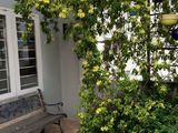 Nhà Đẹp, Nhiều Cây Xanh Cần Bán