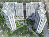 Căn Hộ Cao Cấp Aio City Liền Kề Aeon Bình Tân