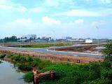Bán Đất Khu Dân Cư Bình Lợi , Bình Chánh 80M2 250Triệu Sổ Hồng Riêng