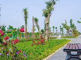 River Silk City - Ceo Group, Điểm Đầu Tư Sinh Lời Hấp Dẫn