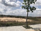 Đất Mặt Tiền Chợ Mới Hóc Môn, Sổ Hồng RIêng, 100M2