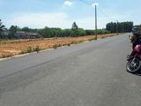 Đất Mặt Tiền Chợ Mới Hóc Môn, Sổ Hồng RIêng, 100M2