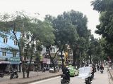 Bán Nhà Mặt Tiền 4M Kinh Doanh Tốt Phố Kim Mã, 7 Tỷ.