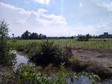 Cần Bán Đất Nhơn Trạch - Đồng Nai