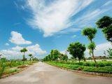 Dự Án New City Phố Nối - Hưng Yên, Cơ Hội Và Xu Hướng Đầu Tư Mới. Lh: 0348.355.735
