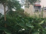 Hot!!! Giá Cực Sốc. Kdc Long Thới, 86M2(5X17), Thổ Cư 100%,shr,lh 0817888118