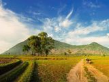 Cần Bán Gấp Lô Đất Tại Khu Dân Cư Suối Đá Dương Minh Châu Tây Ninh