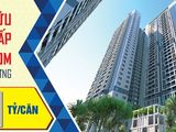 Căn Hộ Charmsapphire Dĩ An Bình Dương Biểu Tượng Mới Của Dĩ An
