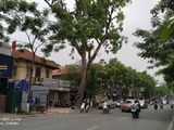 Nhà Mặt Phố Nguyễn Thái Học, Thương Mại, Kinh Doanh, 61M2 X 8 Tầng, Mặt Tiền 5.6M, 30.5 Tỷ, Lh 0917420066
