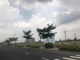 Đất Củ Chi Sổ Hồng Riêng - Cơ Hội Lớn Cho Các Nhà Đầu Tư Thông Minh ‼️